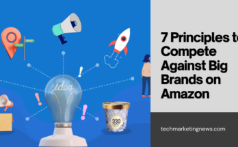 Compete Against Big Brand Names Amazon